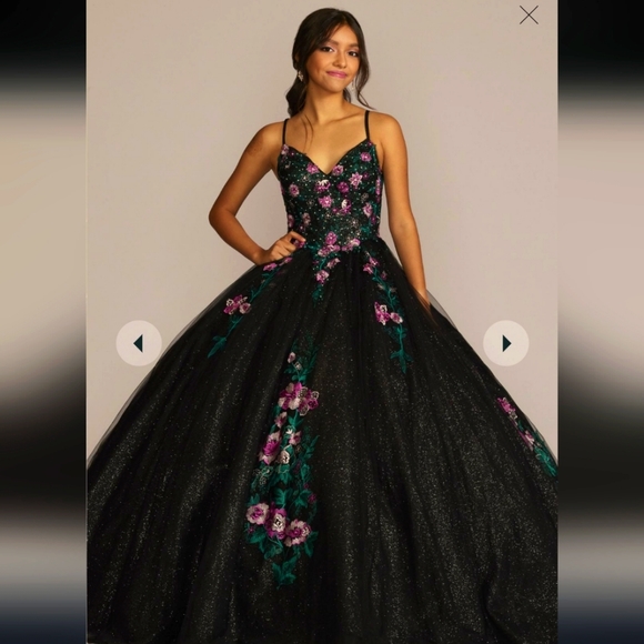 Fifteen Roses Dresses & Skirts - EUC 💗 15 Roses 💗Quincenera dress 🖤 Beautiful Princess Ball Gown, size 2